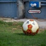 Pallone Lega Pro