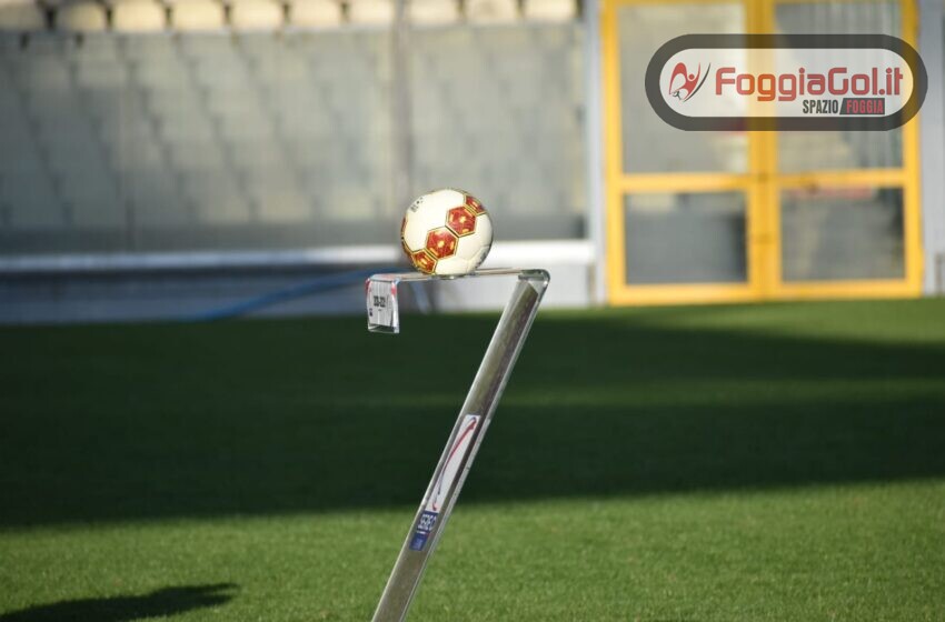  Recupero Vibonese-Foggia