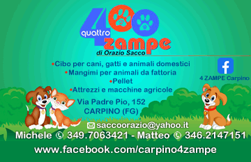 4 Zampe Carpino