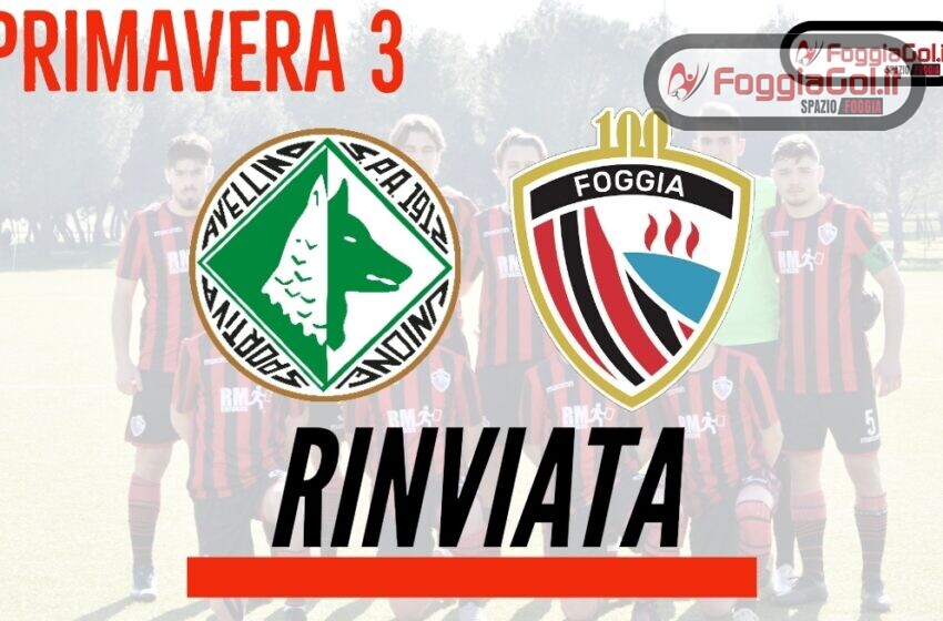  Primavera 3: rinviata Avellino-Foggia