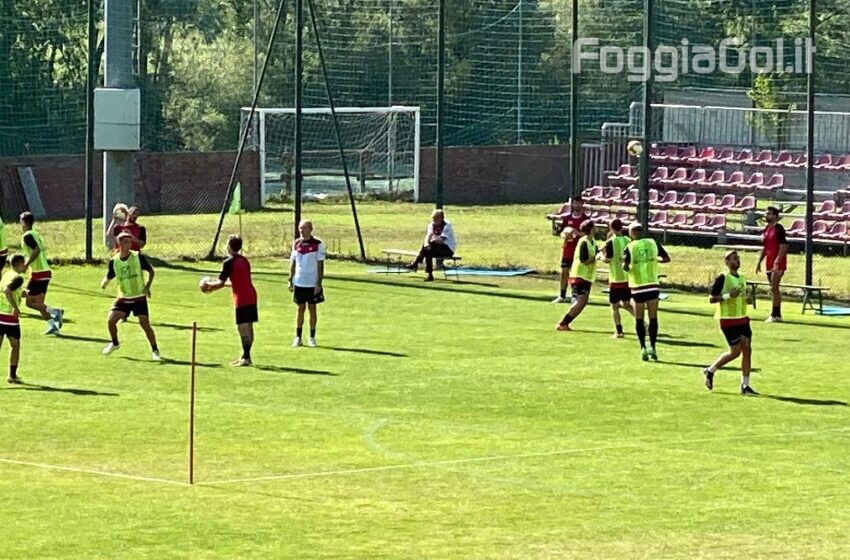  Michele Rocca è del Foggia, Alessio Curcio…quasi