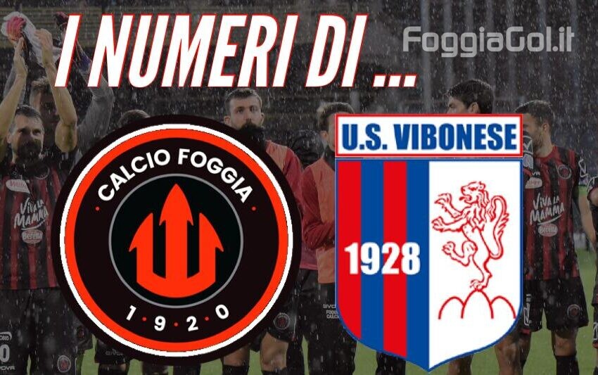  I numeri di Foggia Vibonese