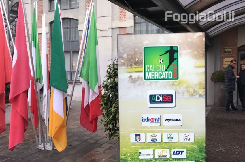  Una finestra sul mercato – 13ª puntata