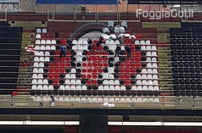  Domani allo Zaccheria Foggia-Campobasso… e noi continueremo a parlare solo di calcio giocato !
