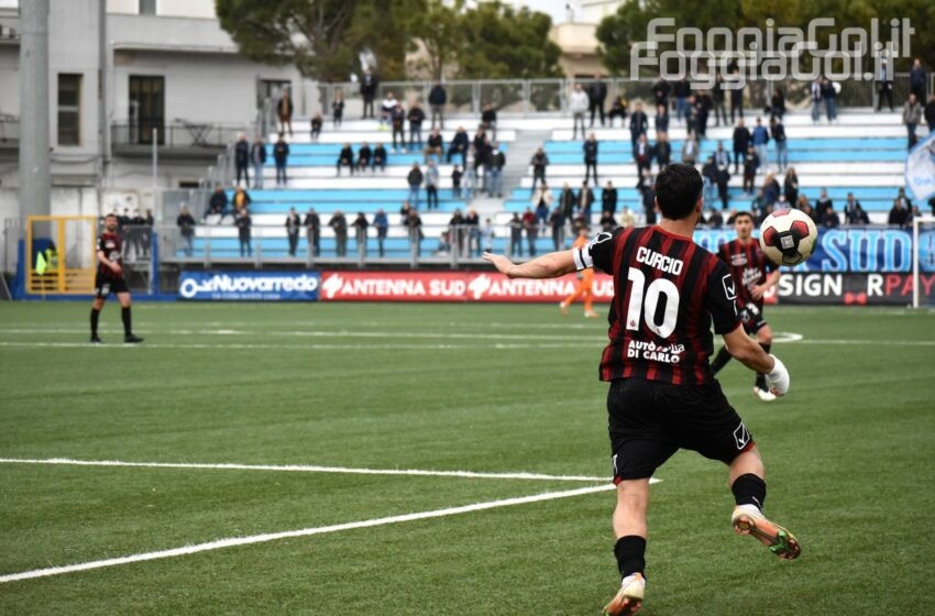  Chi è Alessio Curcio?