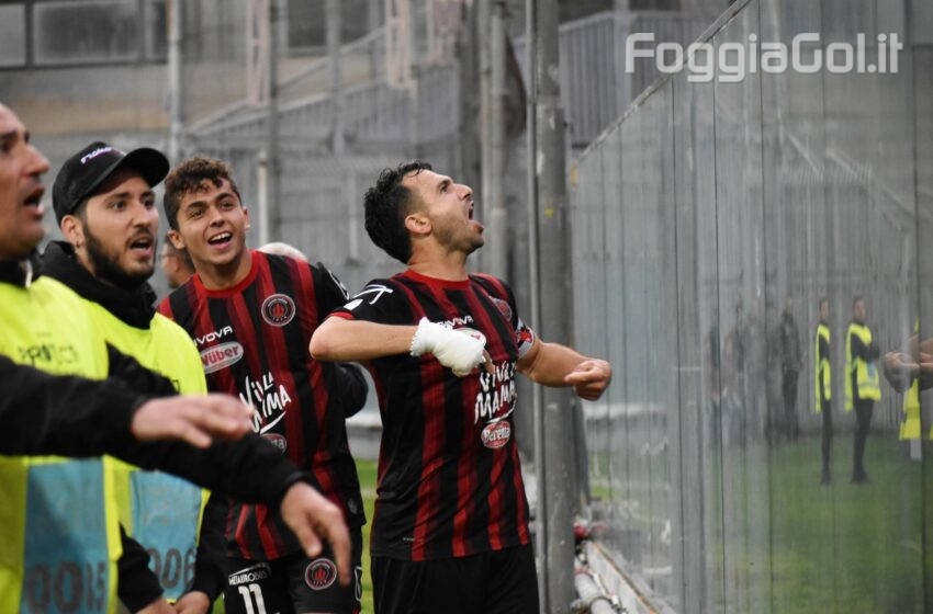  Il mercato, Curcio e il cuore impavido della gente del Foggia…