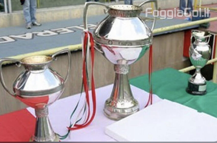  Foggia-Crotone 2-0 (Ottavi Coppa Italia) risultato finale