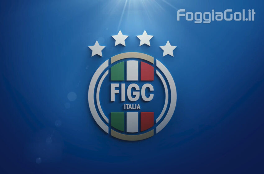 Lecco in B e Reggina esclusa dal Campionato. E ora?