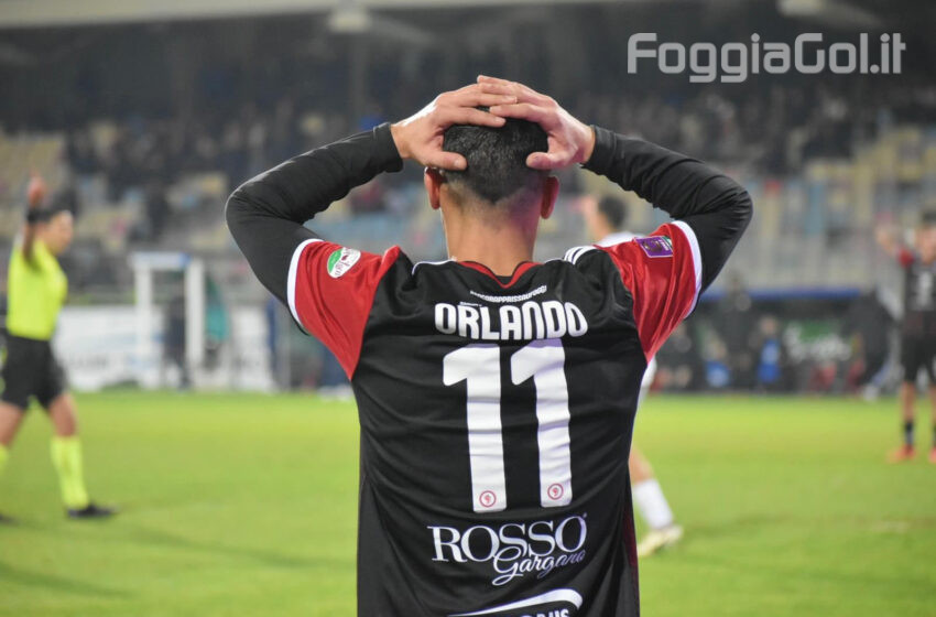 Le pagelle di Foggia-Team Altamura