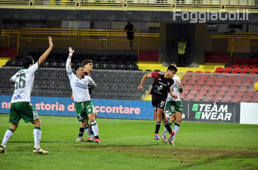  Al triplice fischio. Foggia-Avellino