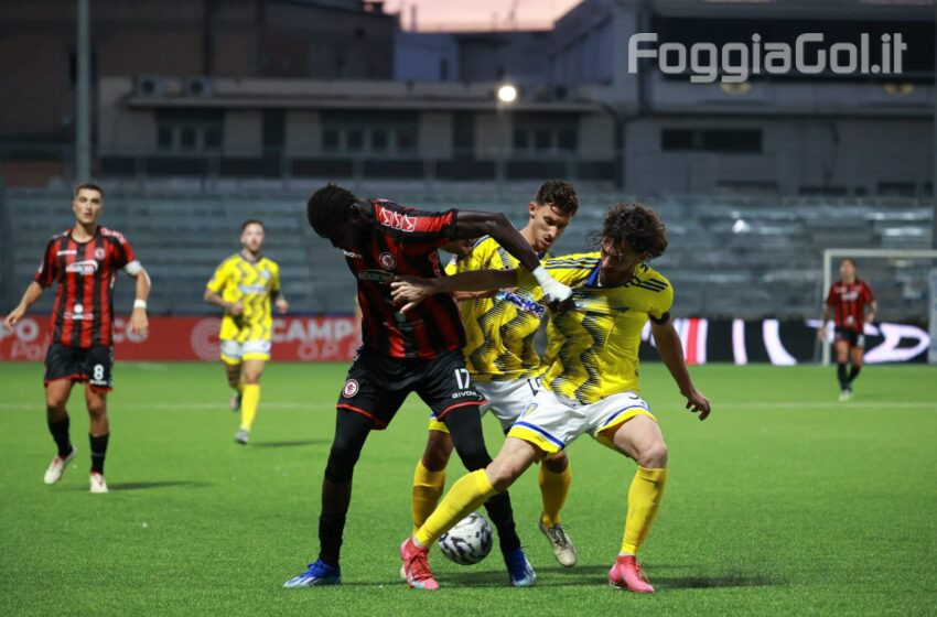  La Photogallery di Cerignola-Foggia