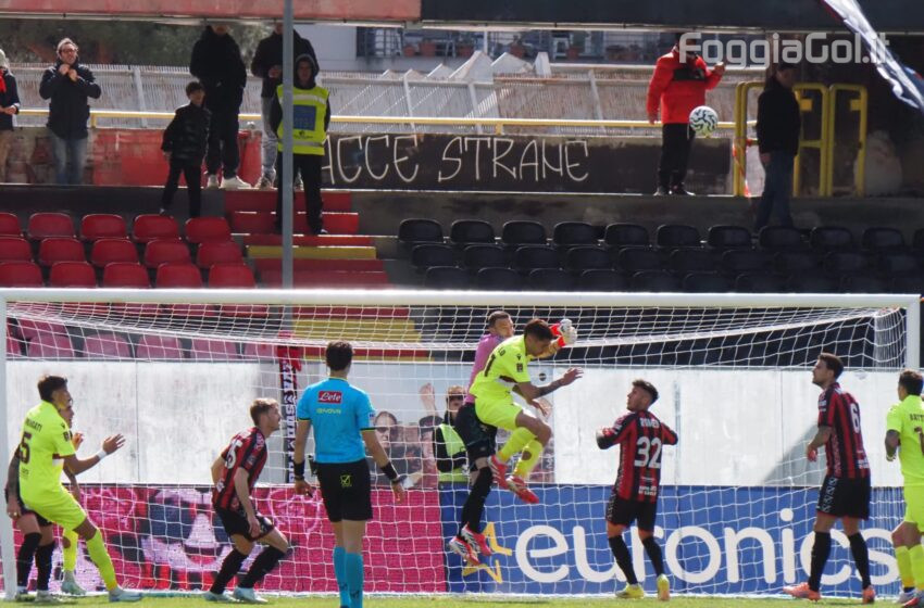  La Photogallery di Foggia-Trapani